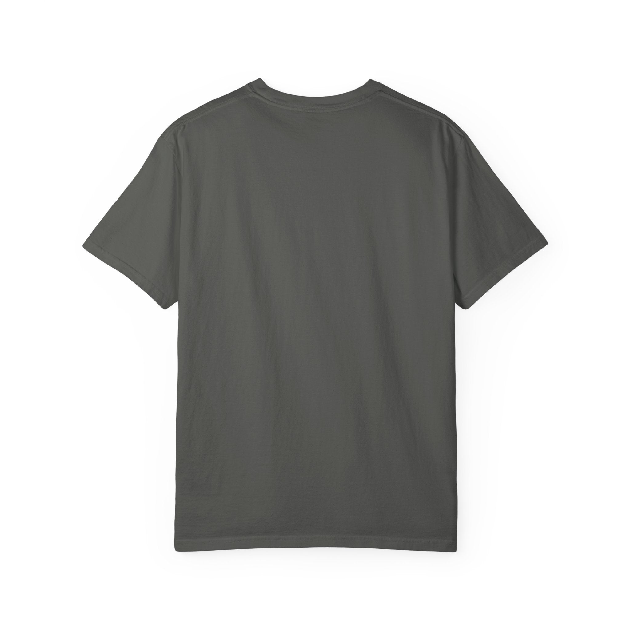 Snack Tester T-Shirt — "Official Snack Tester / Premium Snack Evaluator" Graphic Tee