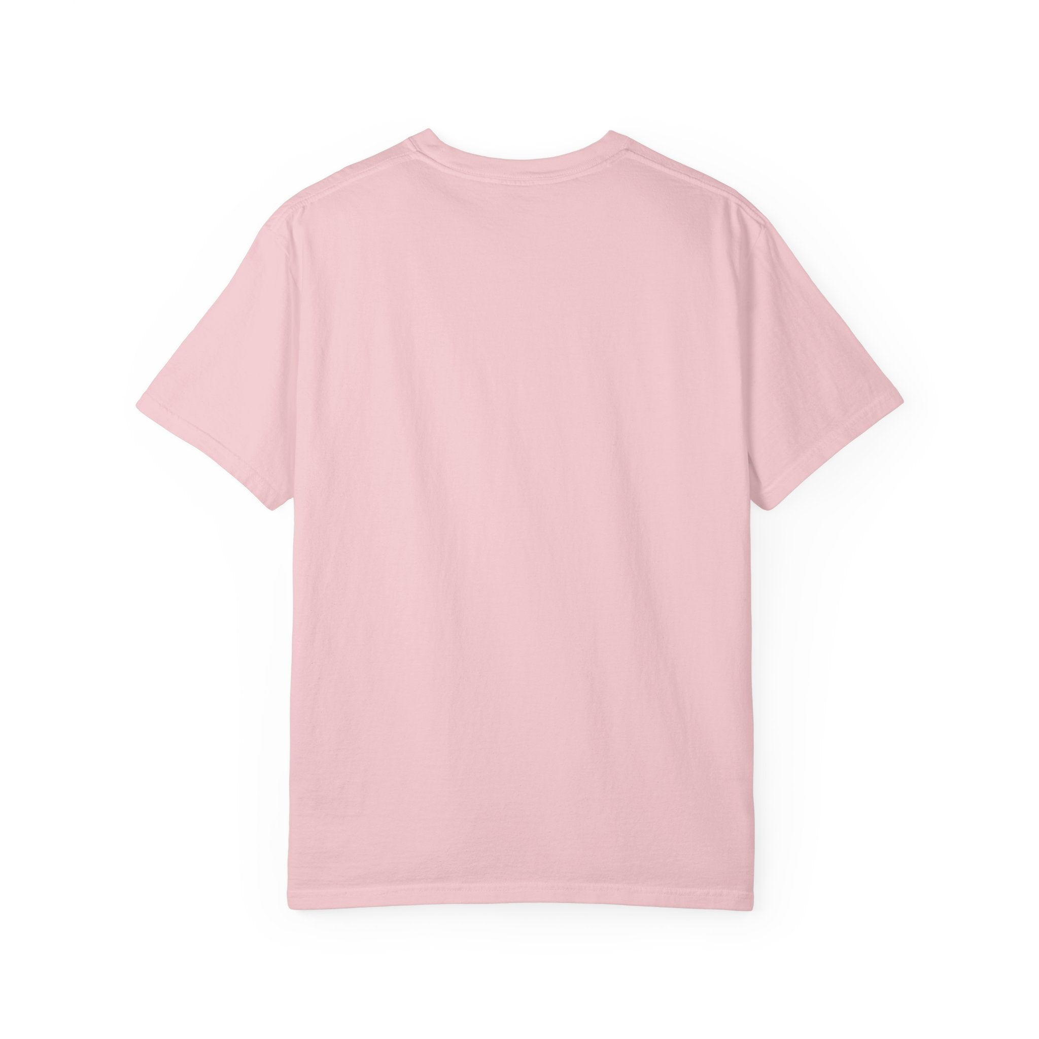 Snack Tester T-Shirt — "Official Snack Tester / Premium Snack Evaluator" Graphic Tee