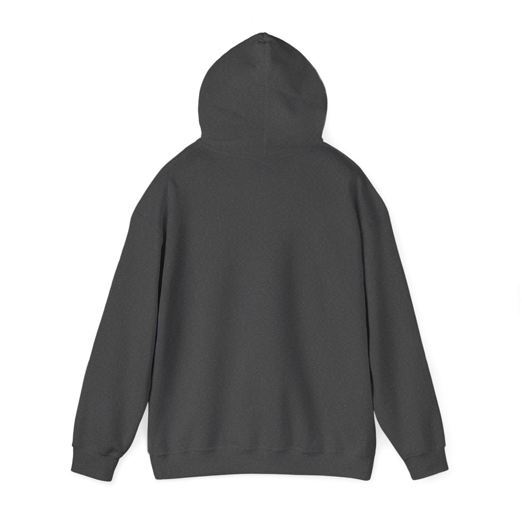 Emotional Support Hoodie – Minimalist Comfort Pullover
