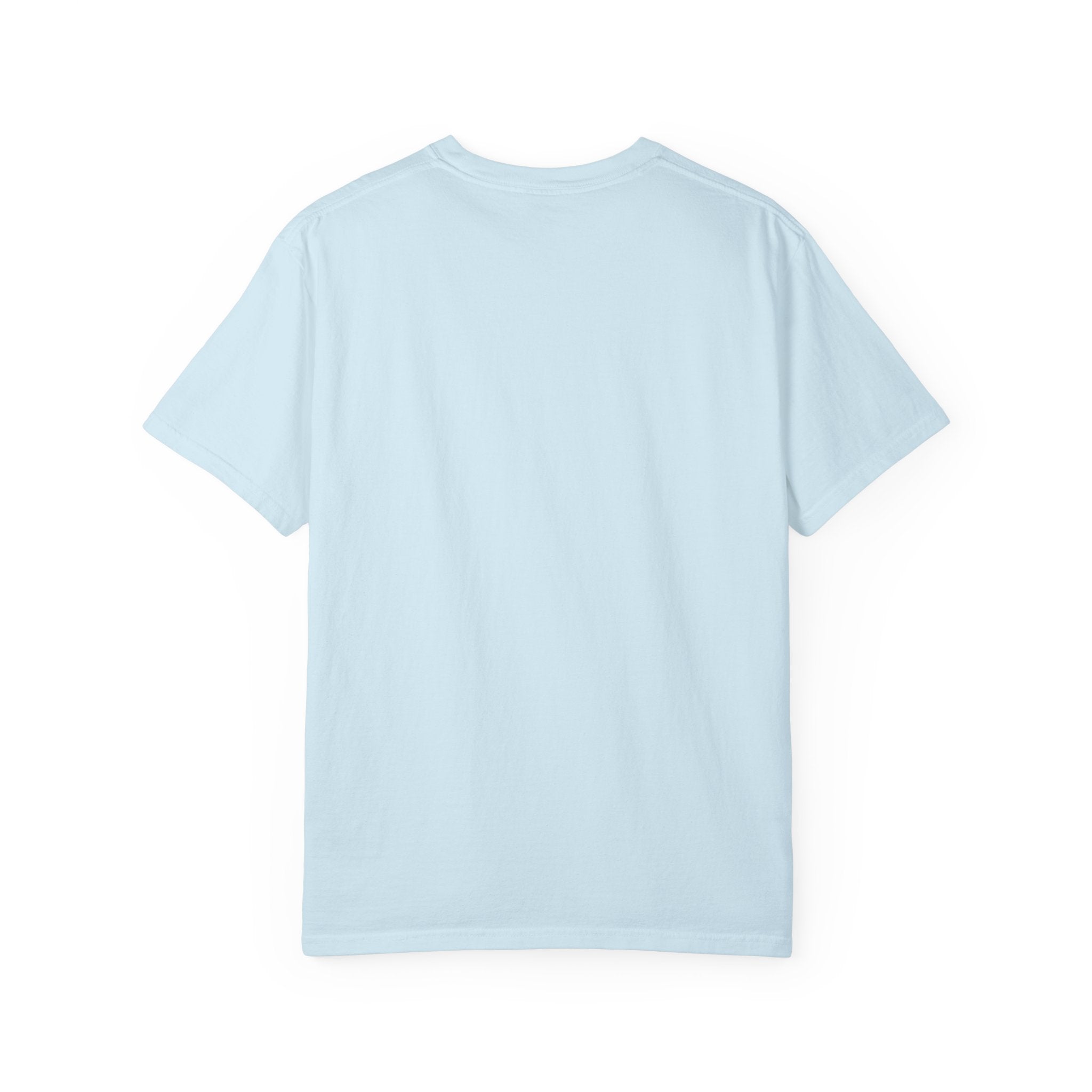 Snack Tester T-Shirt — "Official Snack Tester / Premium Snack Evaluator" Graphic Tee